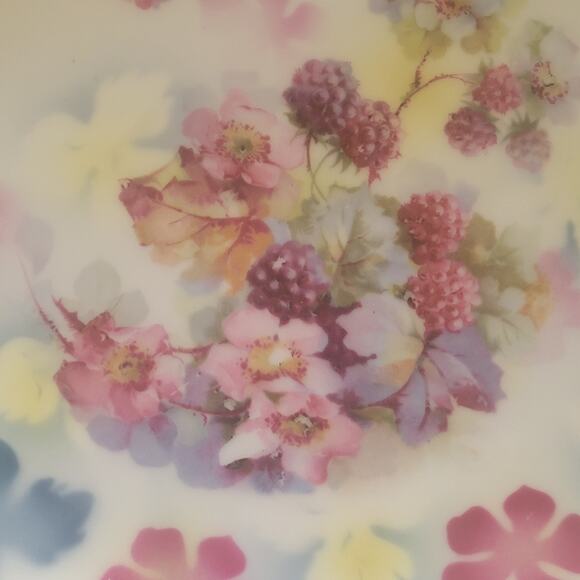 Thomas Sevrus Bavaria Plate Leuchtenberg, Germany Rasberries and Roses Antique - Picture 4 of 10